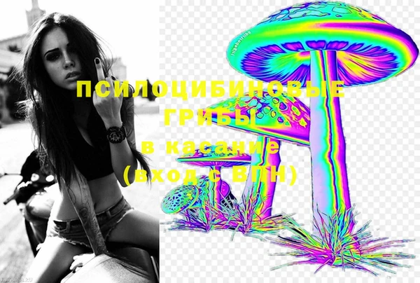 ECSTASY Армянск