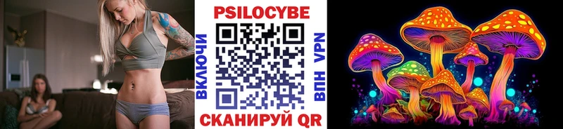 Галлюциногенные грибы Cubensis  наркошоп  Гурьевск 
